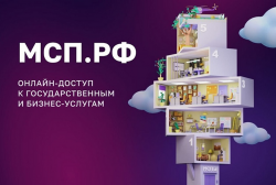 Цифровая  платформа для субъектов МСП Подмосковья