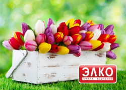 С Праздником 8 Марта!